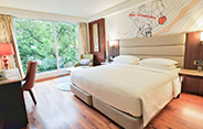 ảnh room 4
